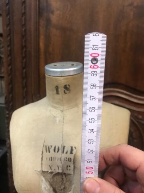 AMERICAN mannequin “wolf” 