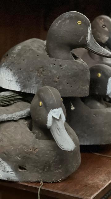 AMERICAN DECOY DUCKS 