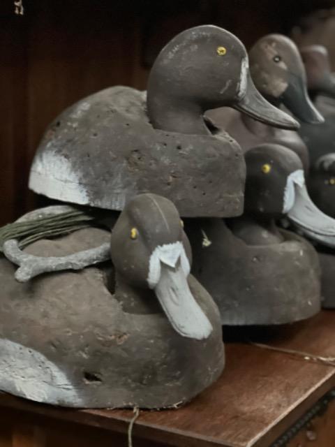 AMERICAN DECOY DUCKS 